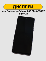 118877 118877